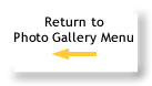 Return to Photo Galley Menu